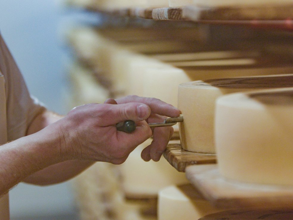 csm_naturprodukt_qualität_2_3a0267c9d1.jpg